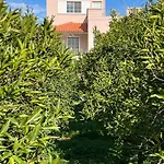 Lejlighed Verano Retreat *