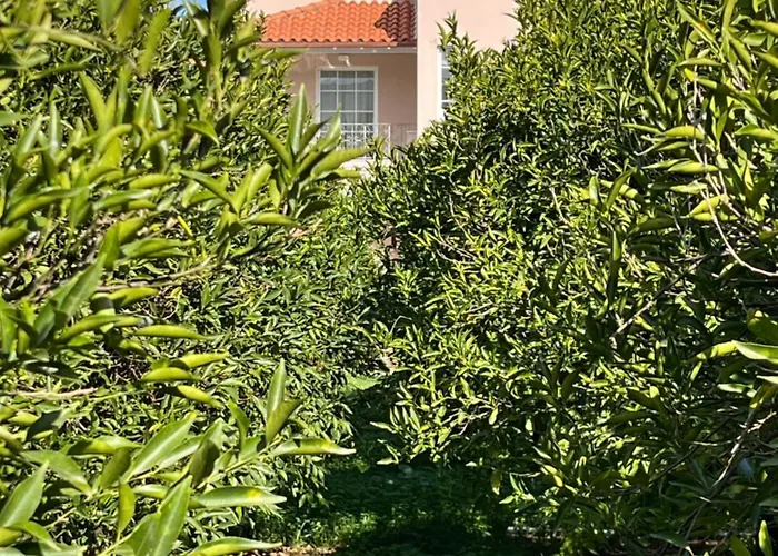 Appartamento Verano Retreat *